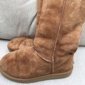 Women’s Classic Tall Chestnut Uggs